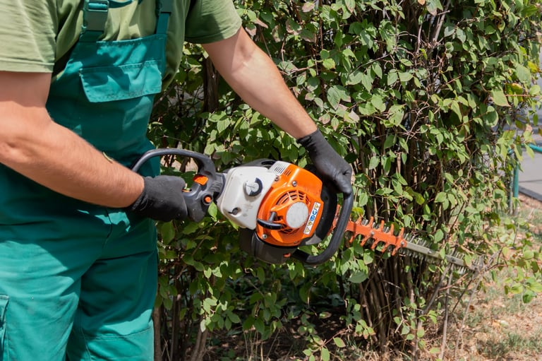 Professionale cimatura siepi con tagliasiepi