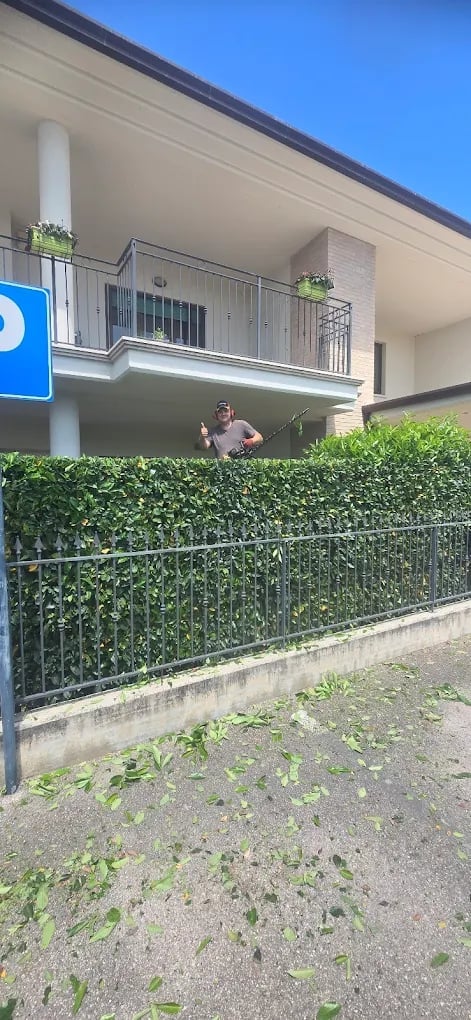 Person standing on a modern building balcony behind a green hedge fence on a sunny day