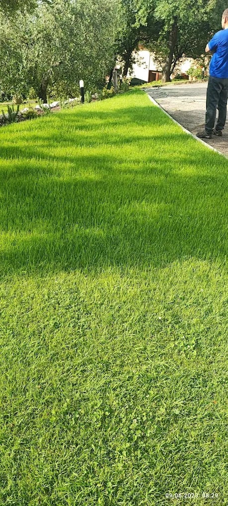 Lush green lawn beside a paved pathway with mature trees and a person in blue shirt standing on the walkway